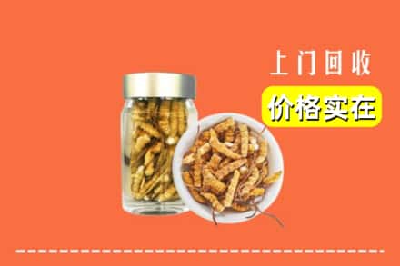 宁德福安市回收散虫草