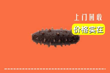 宁德福安市回收海参