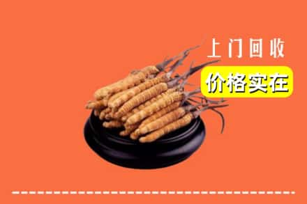 宁德福安市回收冬虫夏草