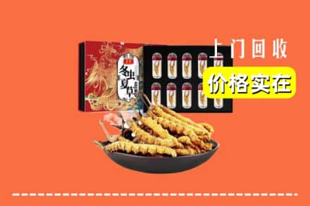 宁德福安市回收虫草